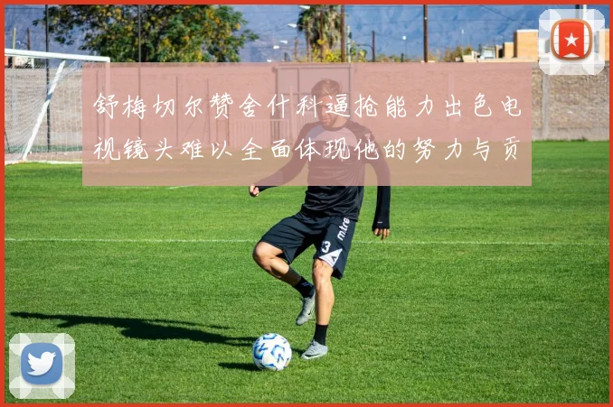 舒梅切尔赞舍什科逼抢能力出色电视镜头难以全面体现他的努力与贡献